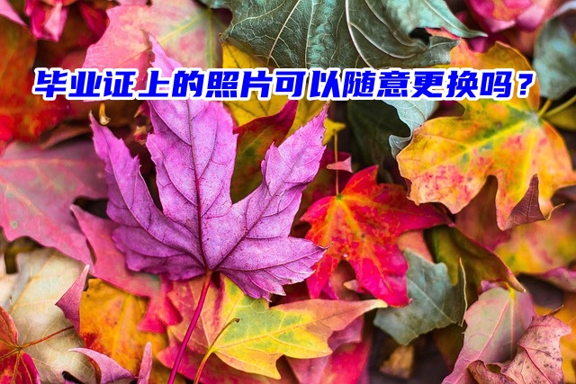 毕业证上的照片可以随意更换吗？