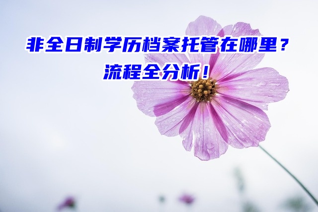 非全日制学历档案托管在哪里？流程全分析！