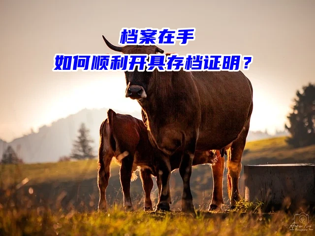 档案在手，如何顺利开具存档证明？