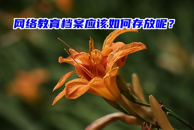 网络教育档案应该如何存放呢？