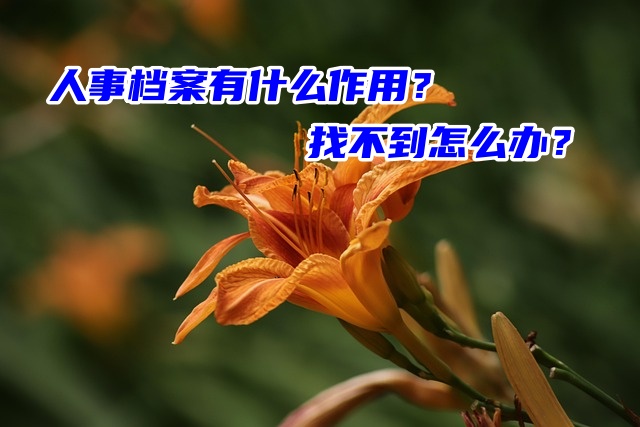 人事档案有什么作用？找不到怎么办？