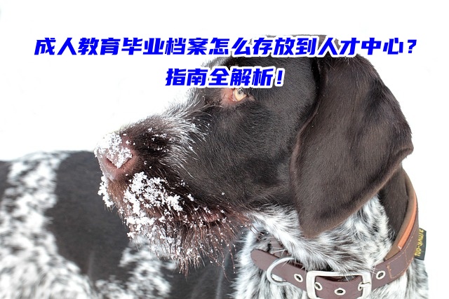 成人教育毕业档案怎么存放到人才中心？指南全解析！