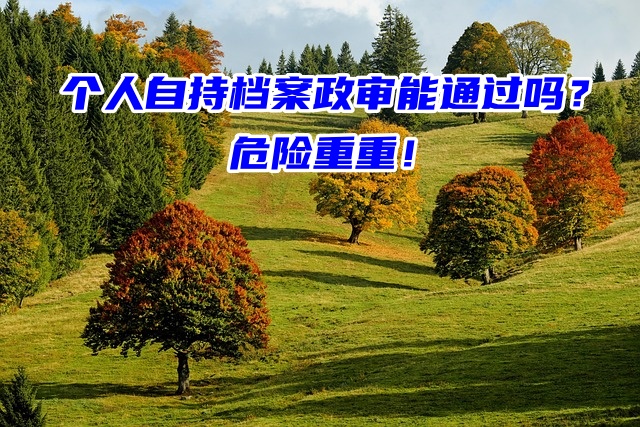 个人自持档案政审能通过吗？危险重重！