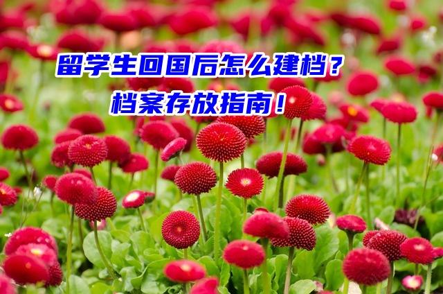 留学生回国后怎么建档？档案存放指南！