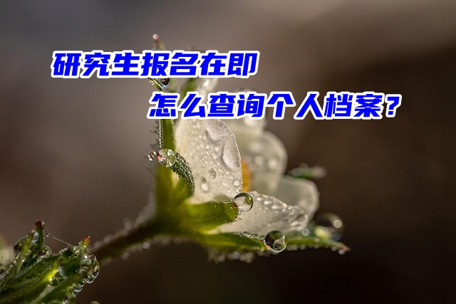 研究生报名在即怎么查询个人档案？
