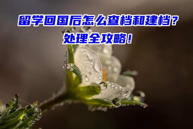 留学回国后怎么查档和建档？处理全攻略！