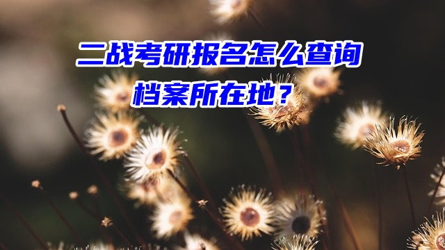 二战考研报名怎么查询档案所在地？