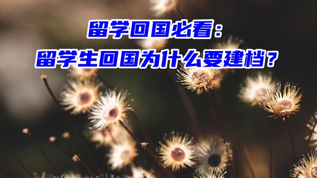 留学回国必看：留学生回国为什么要建档？