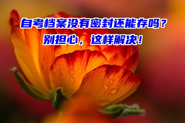 自考档案没有密封还能存吗？别担心，这样解决！