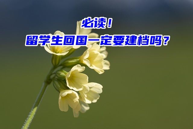 必读！留学生回国一定要建档吗？