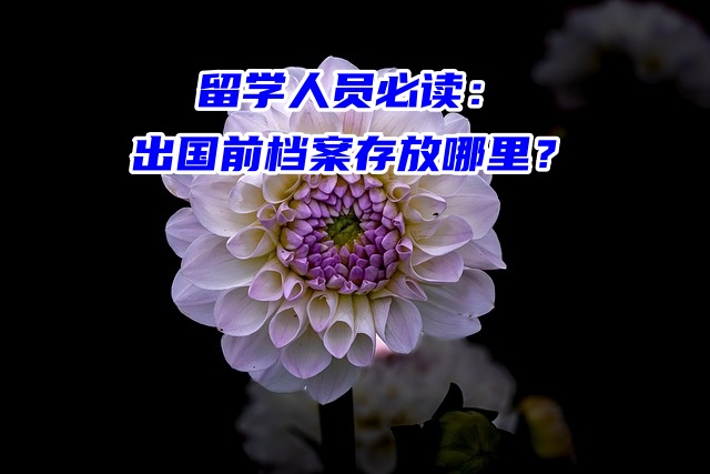 留学人员必读：出国前档案存放哪里？