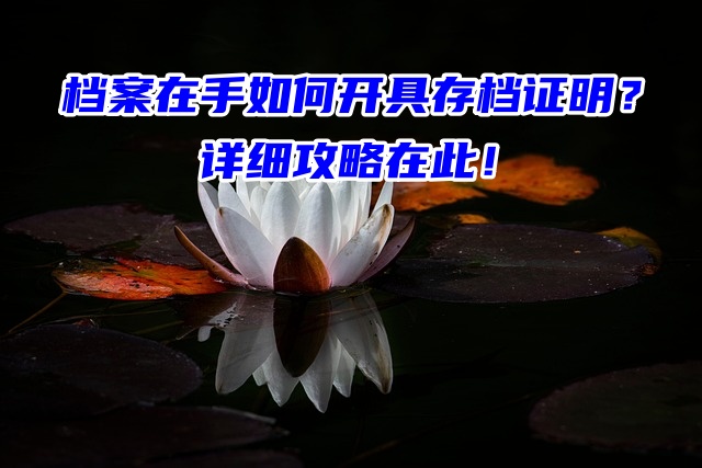 档案在手如何开具存档证明？详细攻略在此！