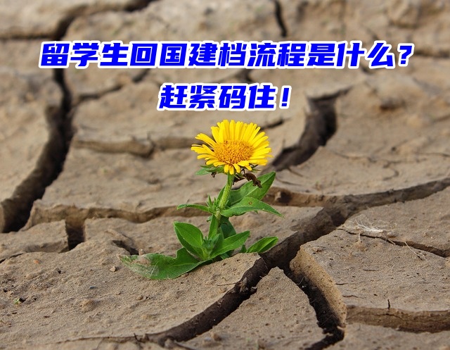 留学生回国建档流程是什么？赶紧码住！