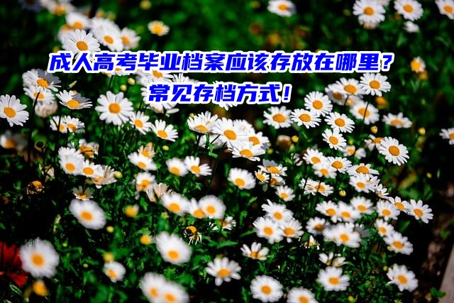成人高考毕业档案应该存放在哪里？常见存档方式！