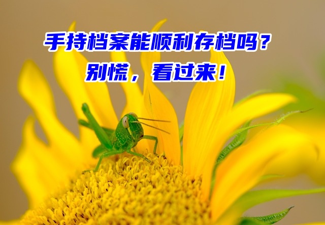 手持档案能顺利存档吗？别慌，看过来！