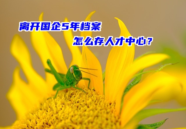 离开国企5年档案怎么存人才中心？