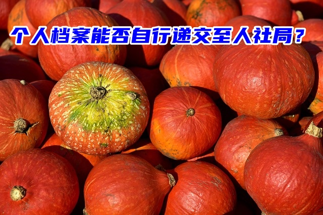 个人档案能否自行递交至人社局？死档不行！