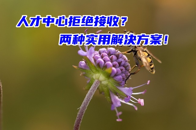 人才中心拒绝接收？两种实用解决方案！