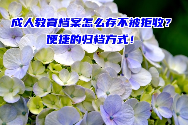 成人教育档案怎么存不被拒收？便捷的归档方式！