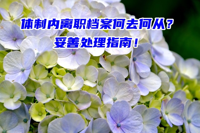 体制内离职档案何去何从？妥善处理指南！