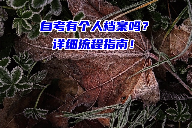 自考有个人档案吗？详细流程指南！
