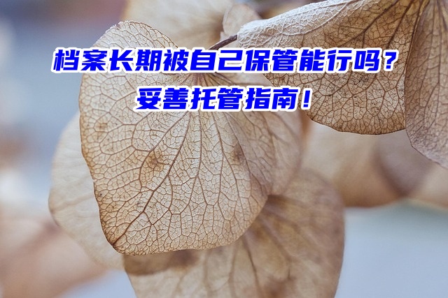 档案长期被自己保管能行吗？妥善托管指南！