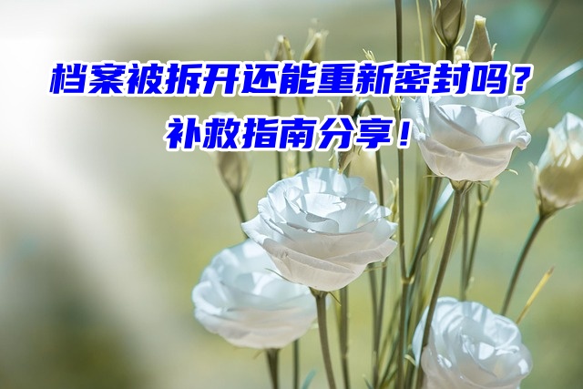 档案被拆开还能重新密封吗？补救指南分享！