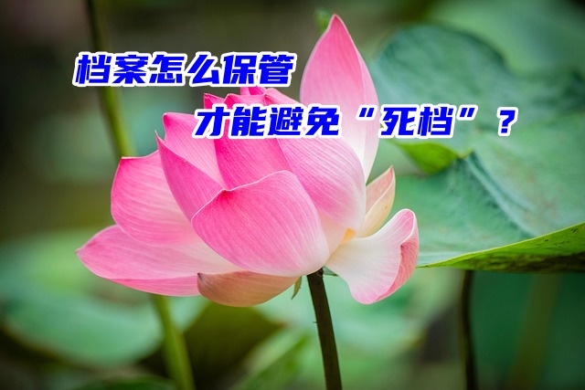 档案怎么保管才能避免“死档”？超全激活方法呈上！