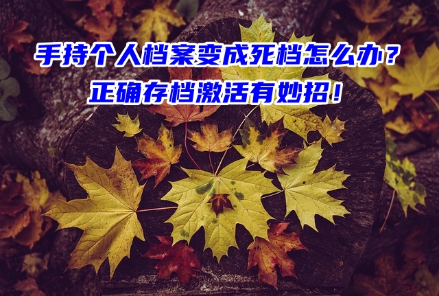 手持个人档案变成死档怎么办？正确存档激活有妙招！