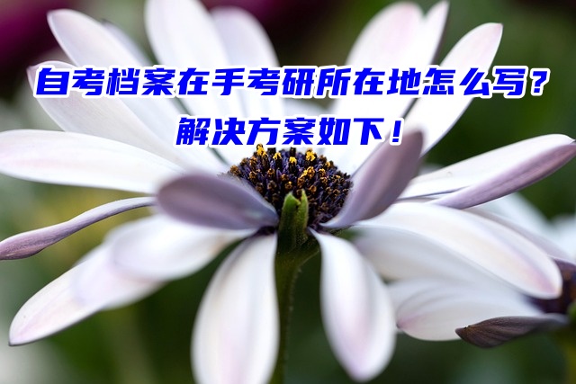 自考档案在手考研所在地怎么写？解决方案如下！