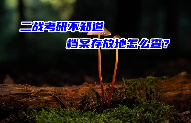 二战考研不知道档案存放地怎么查？