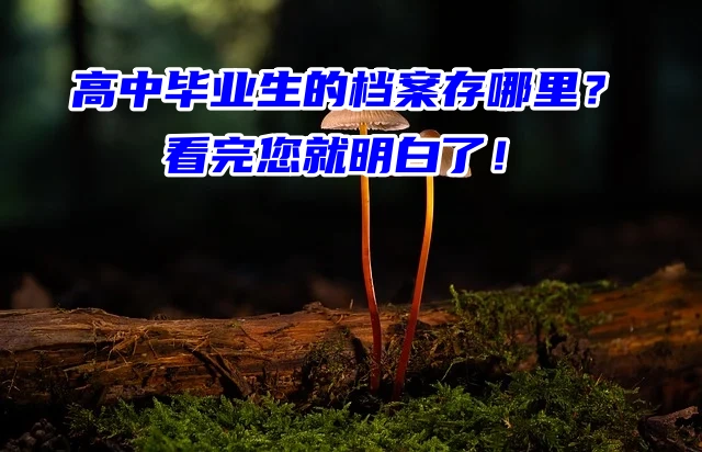高中毕业生的档案存哪里？看完您就明白了！