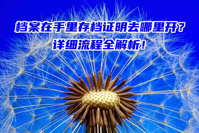 档案在手里存档证明去哪里开？详细流程全解析！