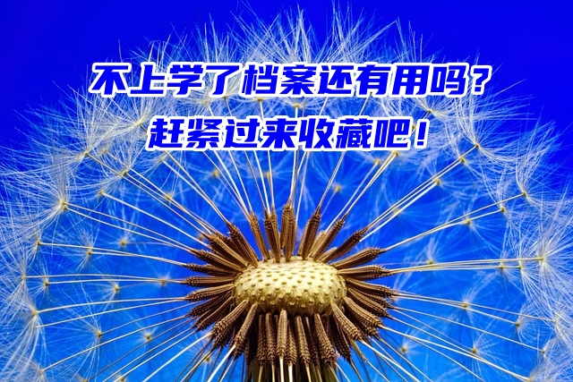 不上学了档案还有用吗？档案作用很强大！
