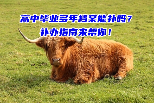 高中毕业多年档案能补吗？补办指南来帮你！