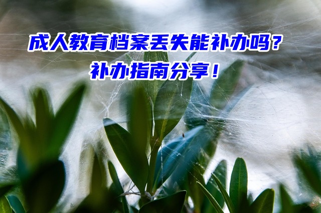 成人教育档案丢失能补办吗？补办指南分享！