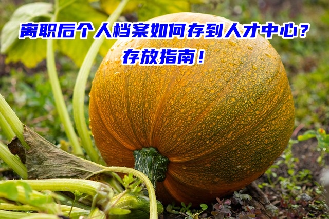 离职后个人档案如何存到人才中心？存放指南！