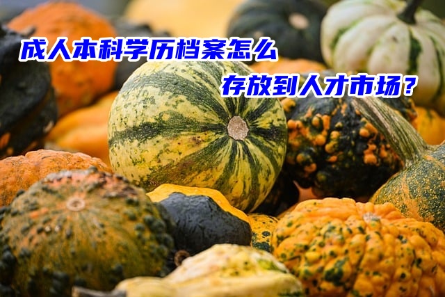 成人本科学历档案怎么存放到人才市场？