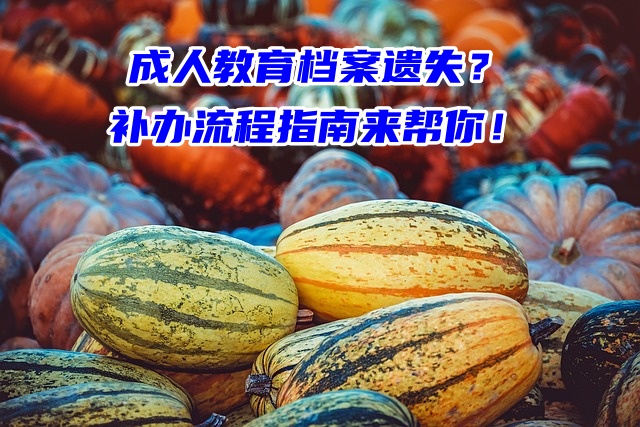 成人教育档案遗失？补办流程指南来帮你！