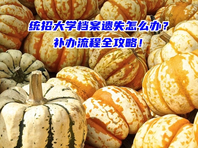 统招大学档案遗失怎么办？补办流程全攻略！