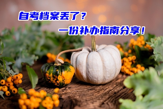 自考档案丢了？一份补办指南分享！
