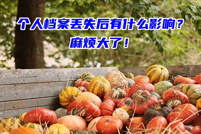 个人档案丢失后有什么影响？麻烦大了！