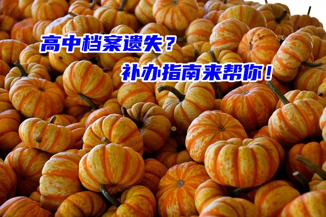 高中档案遗失？补办指南来帮你！