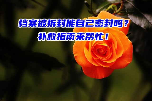 档案被拆封能自己密封吗？补救指南来帮忙！