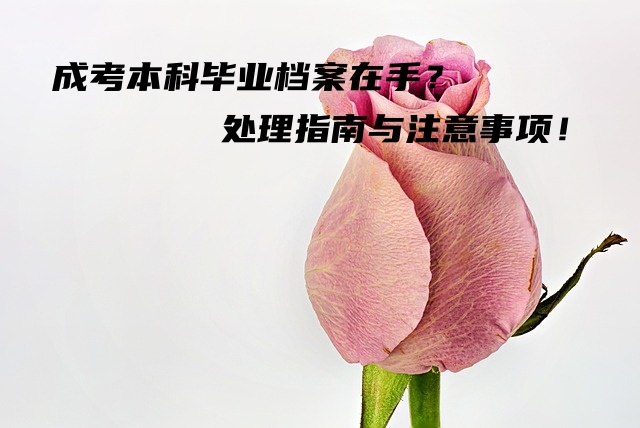 成考本科毕业档案在手？处理指南与注意事项！