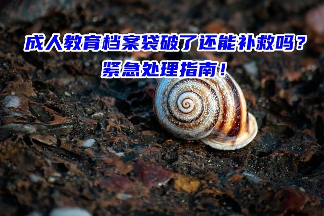 成人教育档案袋破了还能补救吗？紧急处理指南！