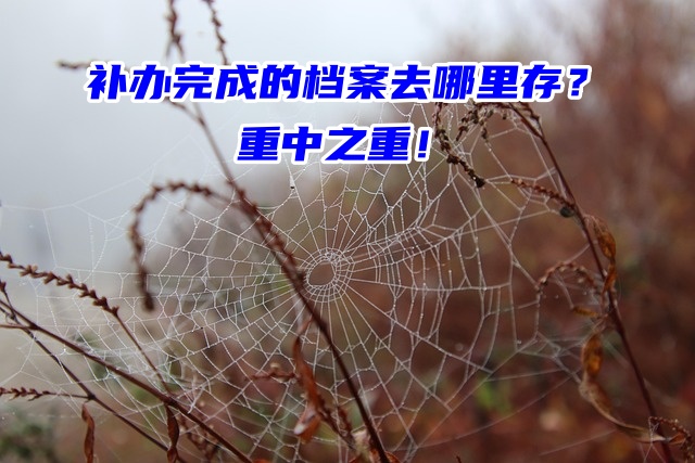 补办完成的档案去哪里存？不存放麻烦就大了！