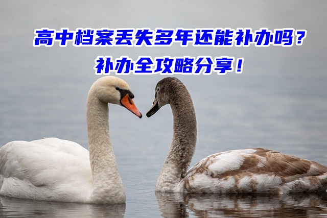 高中档案丢失多年还能补办吗？补办全攻略分享！