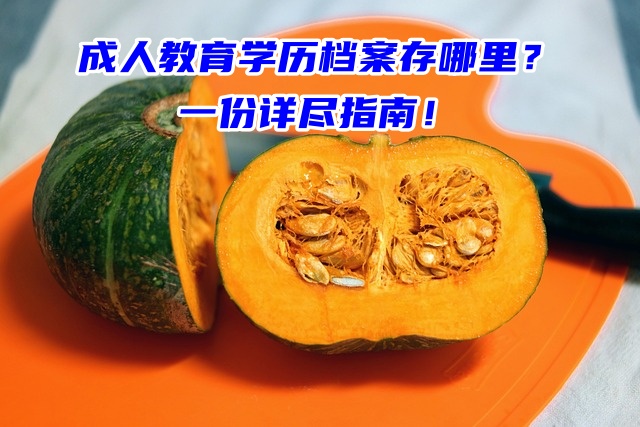 成人教育学历档案存哪里？一份详尽指南！