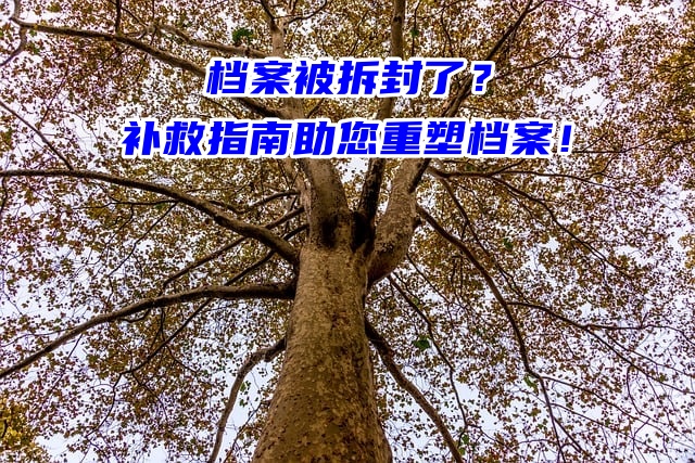 档案被拆封了？补救指南助您重塑档案！